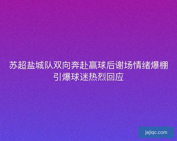苏超盐城队双向奔赴赢球后谢场情绪爆棚引爆球迷热烈回应