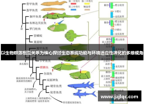 以生物群落相互关系为核心探讨生态系统功能与环境适应性演化的多维视角